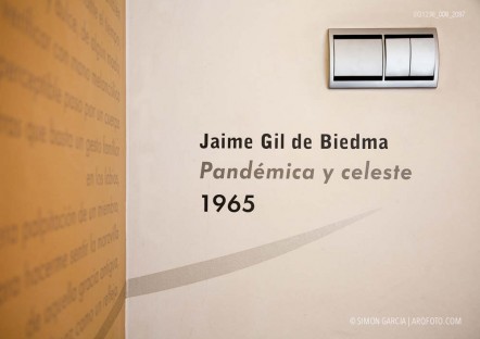 Fotografia de Arquitectura Apartamentos-Casa-de-les-Lletres-AAGF-arquitectos-SG1236_008_2097