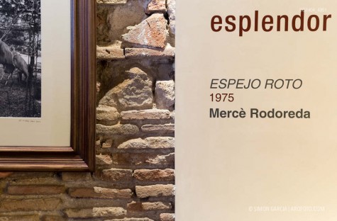 Fotografia de Arquitectura Apartamentos-Casa-de-les-Lletres-AAGF-arquitectos-SG1404_4951