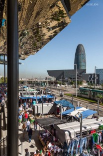 Fotografia de Arquitectura Merca-dels-Encants-Barcelona-B720-arquitectes-SG1330_8246