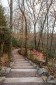 Fotografia de Arquitectura Fallingwater-Casa-de-la-Cascada-Wright-01-SG1531_2407