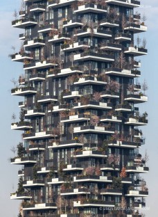 Fotografia de Arquitectura Bosco-Verticale-Stefano-Boeri--21-SG1608_9244