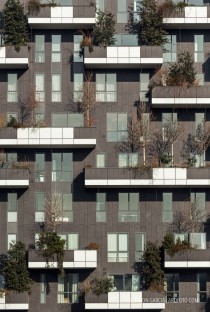 Fotografia de Arquitectura Bosco-Verticale-Stefano-Boeri--24-SG1608_9261
