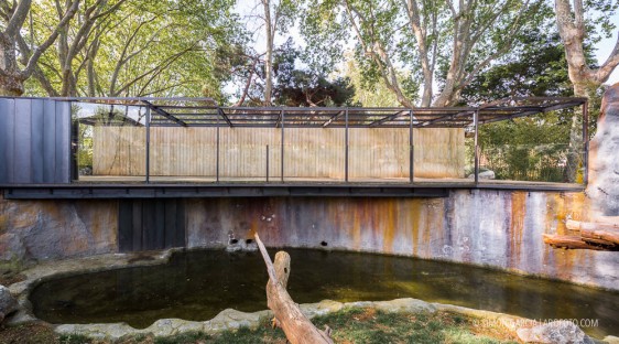 Fotografia de Arquitectura Espacio-orangutanes-zoo-barcelona-forgas-01-SG1629_1996-2