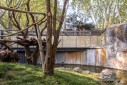 Fotografia de Arquitectura Espacio-orangutanes-zoo-barcelona-forgas-02-SG1629_2006-2