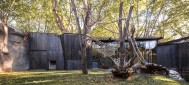 Fotografia de Arquitectura Espacio-orangutanes-zoo-barcelona-forgas-05-SG1629_2519-2