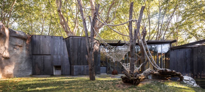 Fotografia de Arquitectura Espacio-orangutanes-zoo-barcelona-forgas-05-SG1629_2519-2