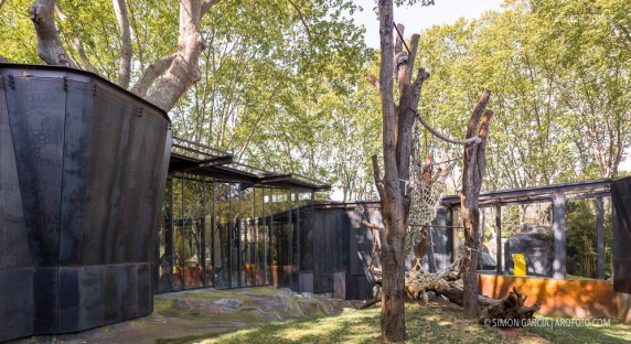 Fotografia de Arquitectura Espacio-orangutanes-zoo-barcelona-forgas-06-SG1629_2048-2