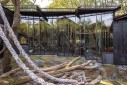 Fotografia de Arquitectura Espacio-orangutanes-zoo-barcelona-forgas-09-SG1629_2074