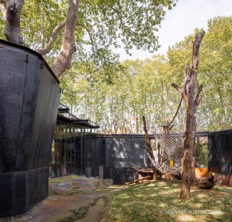 Fotografia de Arquitectura Espacio-orangutanes-zoo-barcelona-forgas-10-SG1629_2138-2