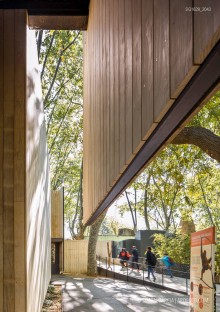 Fotografia de Arquitectura Espacio-orangutanes-zoo-barcelona-forgas-15-SG1629_2043