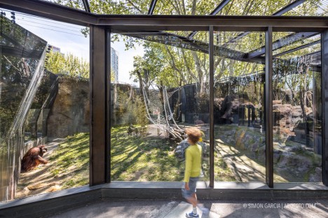 Fotografia de Arquitectura Espacio-orangutanes-zoo-barcelona-forgas-17-SG1629_2211