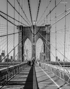 Fotografia de Arquitectura New-York-20-SG1529_4582