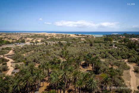 Fotografia de Arquitectura DJI_0008