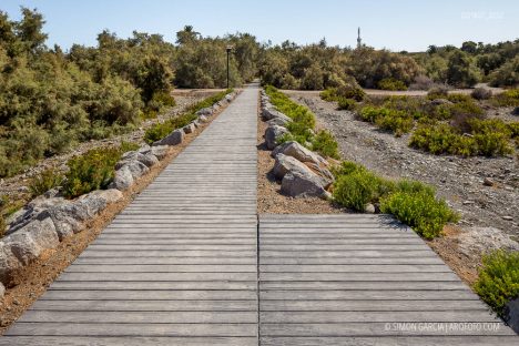 Fotografia de Arquitectura Parque-Tony-Gallardo-Romera-Ruiz-03-SG1837_3232