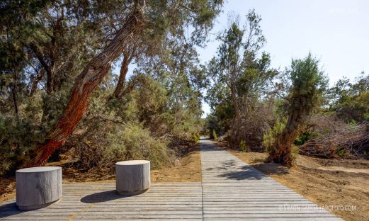 Fotografia de Arquitectura Parque-Tony-Gallardo-Romera-Ruiz-04-SG1837_3242