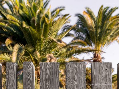 Fotografia de Arquitectura Parque-Tony-Gallardo-Romera-Ruiz-07-SG1837_3291