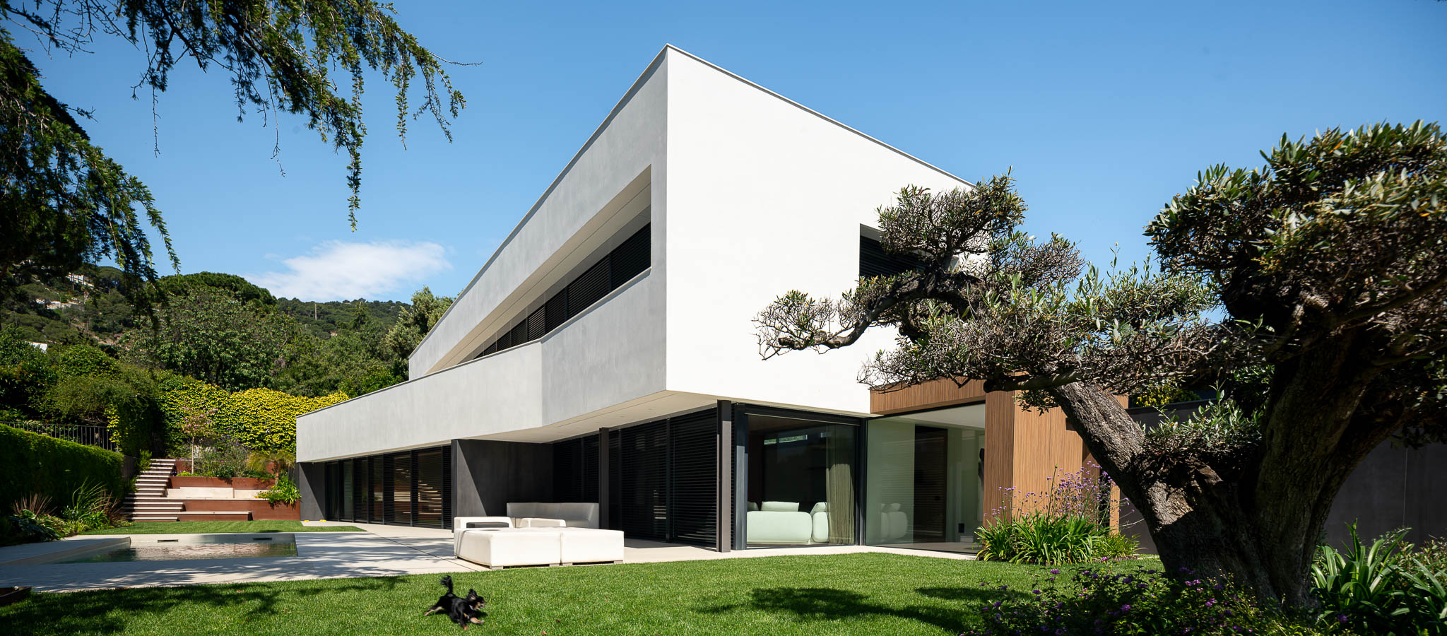 SG2460_9877-2-digital