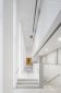 Fotografia de Arquitectura CAP-Gracia-Valor-Llimos-11-SG1672_9371