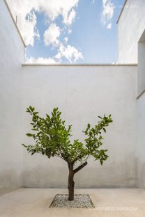 Fotografia de Arquitectura Casa-CSR-Ejea-Caballeros-Cruz-Diez-19-SG1736_5342-2