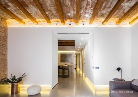 Fotografia de Arquitectura Rehabilitacion-piso-Eixample-Guillermo-Ferrando-03-SG1763_9572-2