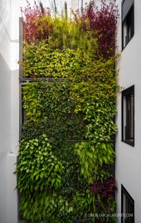 Fotografia de Arquitectura 2146-Garcen Houses-Las Palmas de Gran Canaraia-Romera Ruiz-11-SG2146_2227-2